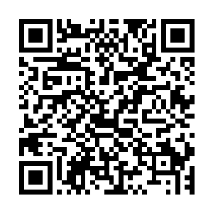 所用就用了回天九针之中的号称禁忌之术的第九针――绝命针二维码生成