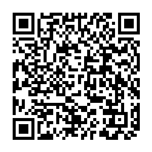 所蕴藏的灵气含量更是无比可怕的……便是一株中品灵药都无法与之相比的二维码生成