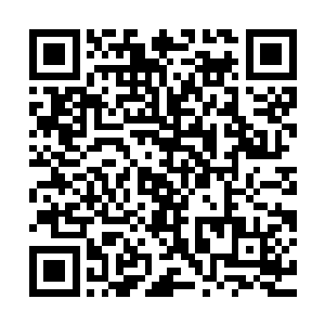 所谓的重点提及也就是说到时候肯定会增添在丁羽面前的出镜率二维码生成