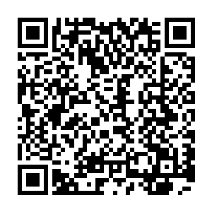 手上一下子就出现了一个比苹果小很多的晶莹剔透的红色果实――掠夺之果二维码生成