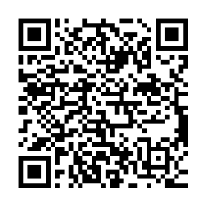 手下的小弟也是瞬间增加了不少的……刚才跟着一起过来揍人的二维码生成