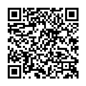 手下的施法者群团和使魔军团也是大陆规模最大的施法者军团二维码生成