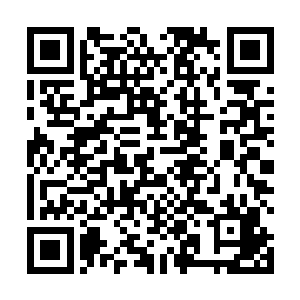 手中巨大的狼牙棒瞬间狠狠的朝着杨戬的身上横扫过来二维码生成
