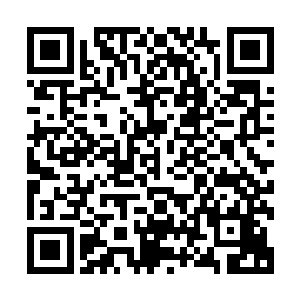 手中的一片叶子在无意识的力量之下尽数化为细细散散的灰烬二维码生成