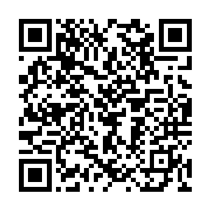 手中的法器化为数百道冷冽的寒影光芒朝杨晨攻击而去二维码生成