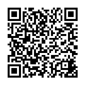 手中的狼牙棒随即虎虎生威的朝着杨戬所说的方位狠狠砸去二维码生成