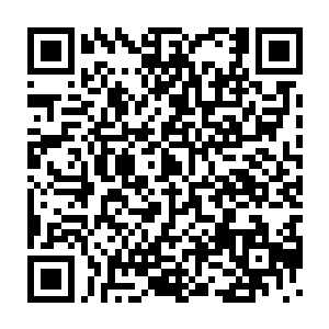 手持加急电文的总统办公室主任陈布雷连门都忘记敲就进了办公室二维码生成