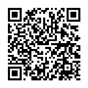 手掌一抖将八枚掌教印三个三个宛如九宫格一样的排在一起二维码生成