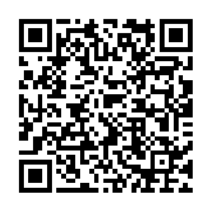 手握实权的镇护将军横江将军其实已经比一州将军毫不逊色二维码生成