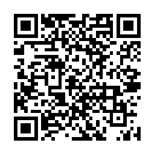 手时不时会不老实地从她们柔顺的腰滑落到臀部凸起的部位二维码生成