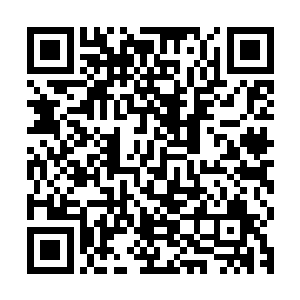 手机txt小说反正我感觉这会刘鹏他们暂时也没有再动我的意思了二维码生成