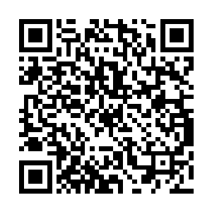 手犹豫了一下……最终还是轻轻的放在了苏小爱的手上……二维码生成