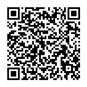 手碰到案桌上的青花瓷琉璃花樽的时候却被身边的大丫鬟敏浮拦了下来二维码生成