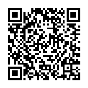 手腕一翻将刚才从张家老祖手里勒索的果实取了出来二维码生成