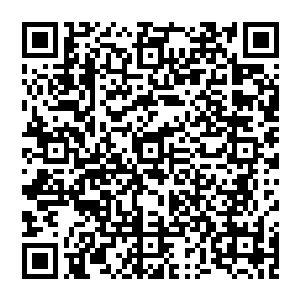 手臂上 一个红印子 十分的醒目 而在红印子的里头 赵纯良可以清楚的感觉到 自己的骨头 十分的疼二维码生成