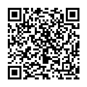 才一进门就看到站在门口等着他们的墨叔投来一个怜悯的眼神二维码生成