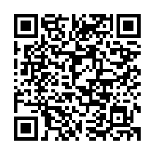 才不过十数息时间过去大汉已横跨数万丈距离到了那巨山之巅二维码生成