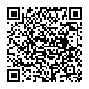 才从一个印第安原住民的手里买到了一个木质的吹箭筒和十几只吹箭二维码生成