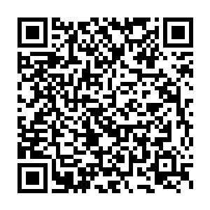 才会以大家闺秀的身份纡尊降贵去帮如意戏班班主的女儿杨柳儿治病二维码生成