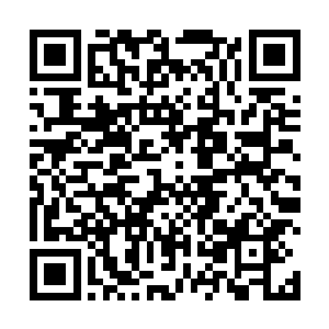 才会信心满满的认为自己能够夺取内门弟子大比第一名二维码生成