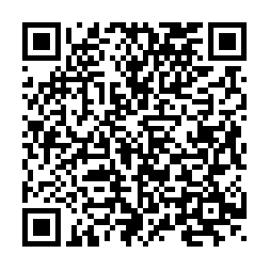 才刚刚和王雅君保证了这一次的新生接待工作不会出任何问题的欧勇二维码生成