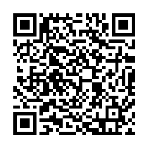 才发觉这厮张开的大嘴简直就仿佛是个黑漆漆的城门洞似的二维码生成