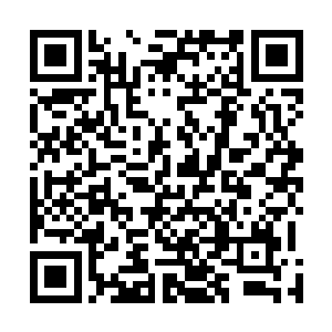 才可以将神葬修罗给折腾出那么惨重的代价和伤势来的折二维码生成