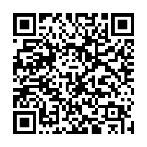 才在一片从林里找到了李白的鞋子和邪恶姐的半片衣角二维码生成
