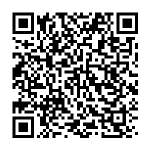 才在南潭县里一个木雕艺术家那里买了几样阴沉木雕和两方精致砚台二维码生成