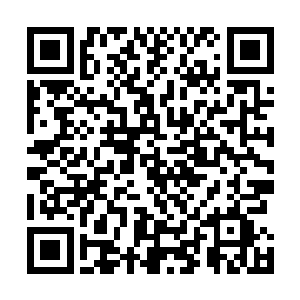 才将因为气息不足而憋红的小脸儿也在一时间惨白的彻底二维码生成