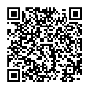 才带着小怒和娜塔莎抱过来的小瓦力这两条狗东张西望的跟在后面二维码生成