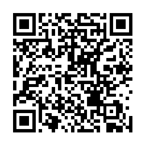 才得到的答案你们始终都将洪荒种族当成某种……高高在上二维码生成