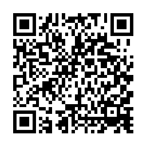 才得知原本镇压在凡俗界之下的凶兽竟然全部冲破封印二维码生成