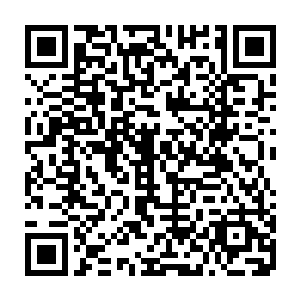 才想起东城门的守卫已经由他的亲兵又换回了原本就驻守着桐城的宗隋将士二维码生成
