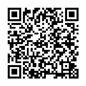 才把这些东西口爪并用的塞进了从柜台里摸来的塑料袋里二维码生成