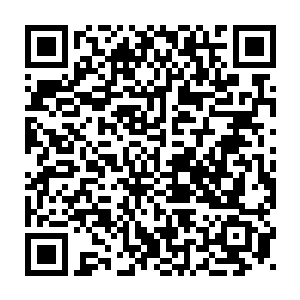 才是衡量是不是王牌师士的标准速度……原本我的要求是达到极即可二维码生成