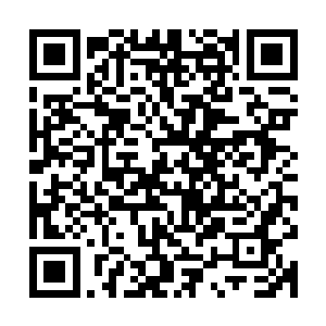 才现无论什么样的词语都无法形容真正看到巨兽骸骨全貌的震惊二维码生成