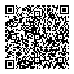 才知道对方竟然是在世界心血管科领域都占有一席之地的罗马圣乔瓦尼医院的首席心血管科医生二维码生成