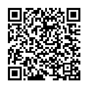 才能使得中土修行界在末法时代依然能够较为完整地传承下来二维码生成