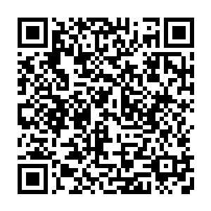 才让自己功成名就――――为什么自己反而要将这最重要的凭借倚靠丢了呢二维码生成