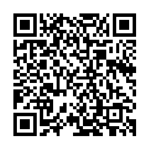 才飞出不到十丈距离的魔龙忽然像是受到了什么力量的牵引似的二维码生成