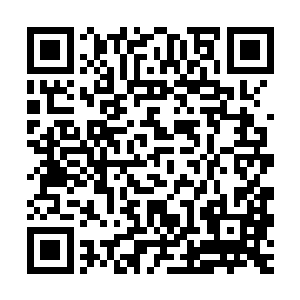 打上一区王者几天后便彻底销声匿迹的陈诚确实没有几个人认识二维码生成