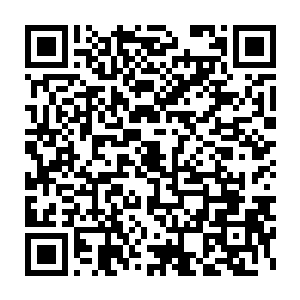打开门看见一个中介模样的男人领着一对夫妻正在看她对面的房子二维码生成