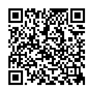 打扮的花枝招展金碧辉煌的巴式卡车和农用拖拉机拥挤在一起二维码生成