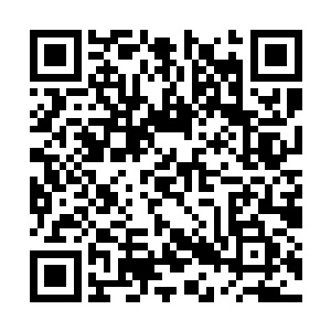 打款获得竞拍资格的客户已经达到了五百七十二位二维码生成