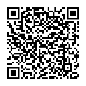 打死宗伟阳都不会想到他和赵长枪之间竟然会展开这样的一次谈话二维码生成