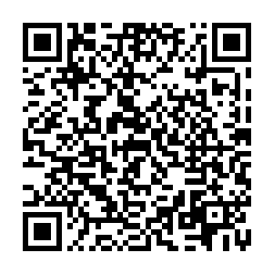 打算将大力鹰爪功和十三太保横练金钟罩全都修炼到圆满再去冲击大师级二维码生成