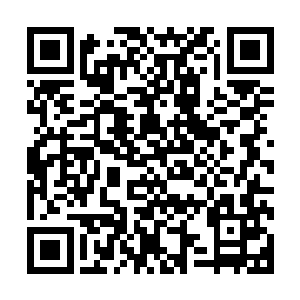 打算硬生生的扛下巴博斯的这一拳……他则是借机重伤巴博斯二维码生成