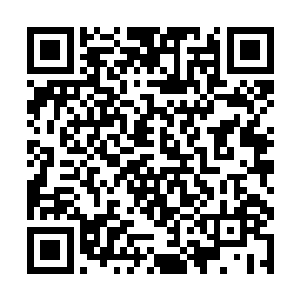 托尼就对他一直很满意……起码是在珍妮弗进组以前二维码生成