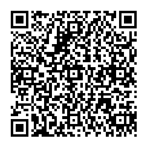 执政党和某相的话权威性已经压制最低甚至在普通民众面前那压根就是一个屁根本算不得什么数二维码生成